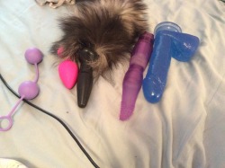 bifucktoy:  I got a request to take a pic of my toys and a pic of me using each.