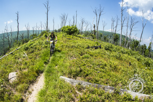 bikemax: bicycle—girl: Sonya Looney at TSE Stage six, Spring Mills, Pennsylvania