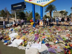 chimezard:  Hey, I’d like to take a brief break from the usual silliness of my blog to talk about something a bit more somber. This is the Las Vegas Shooting memorial, a week to the day after the shooting. My mother and I had a trip planned for months