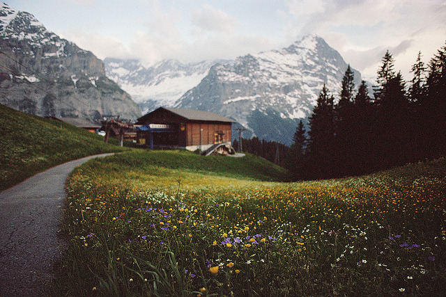 obsol:  all nature