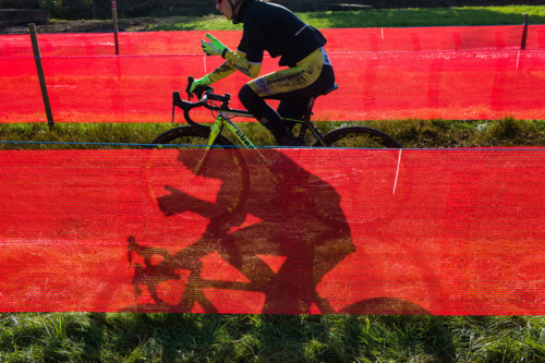 BELGIUM, Niel (Antwerpen). 11/11/2016: The &lsquo;Soudal&rsquo; cyclo-cross competition in t