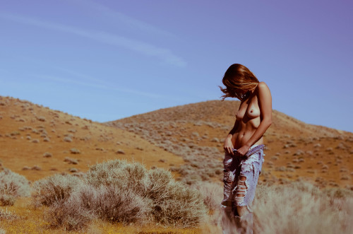 gingerlionheart:  the only girl I ever lovedalexa | lionheartlancaster ca