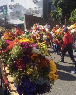 #Feriadeflores2017 #Desfiledelossilleteros #Medellin