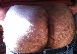 olivierkikoux:  Oh damned ! This so beautiful !! I love hairy bottom