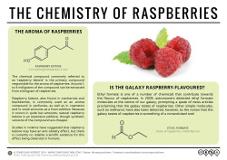 compoundchem:  Find out what links raspberries, obesity, and the centre of our galaxy in today’s graphic and post, which looks at some of the chemical compounds found in raspberries: http://wp.me/p4aPLT-uY 