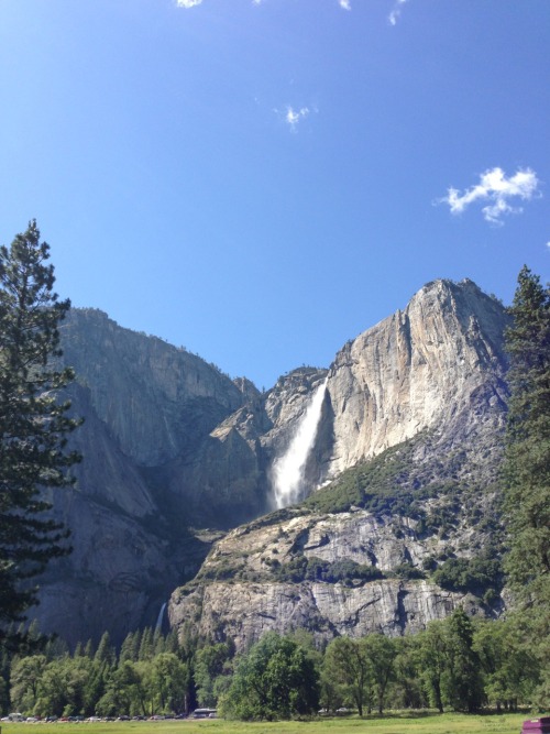 gluestick101:  Yosemite National Park 5.19.13