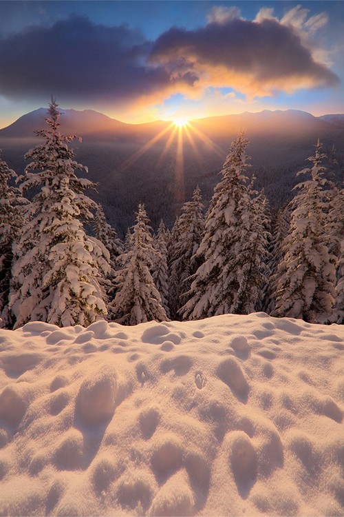 wonderous-world:  Hurricane Ridge, Washington, USA by Kevin McNeal