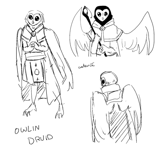 Dnd Concepts For A Circle Of Stars Druid, Astral Elf And Owlin. I Wont Be Using Them, But I Still Like