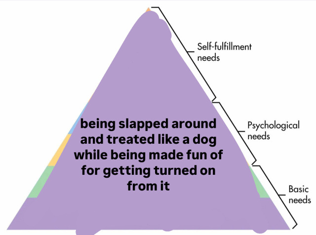 Embedded image 1