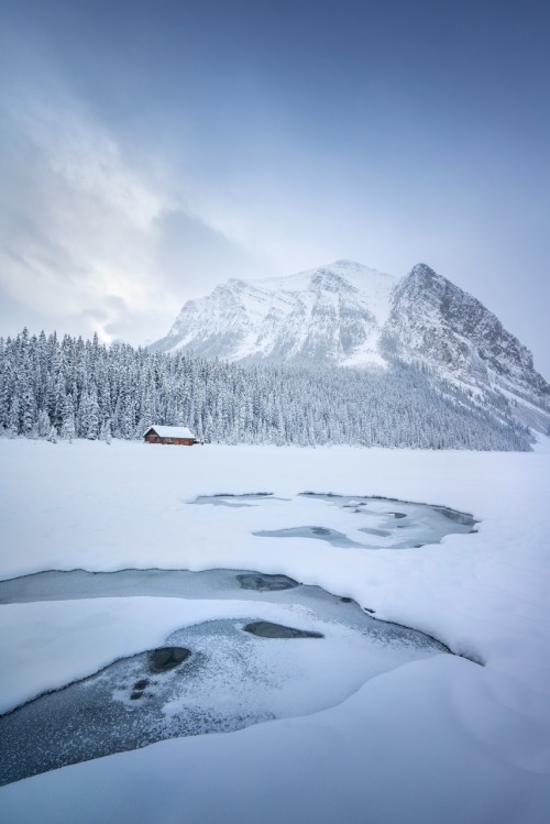 Fresh snow on a cold winter morning in Banff.