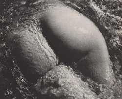 almavio:Lucien Clergue (1934 - 2014) | Nude, 1970 