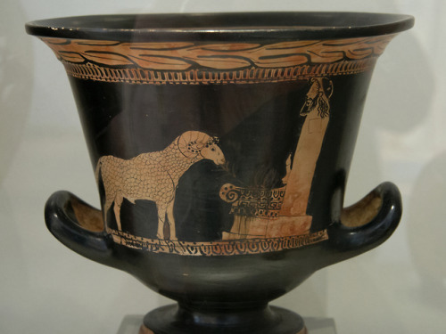 A ram destined for sacrifice stands before an altar of Hermes.  Campanian red-figure calyx-krater, a