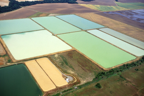 southcarolinaboy: Viewed from the sky, an array of catfish ponds in Louisiana resembles an abstract 