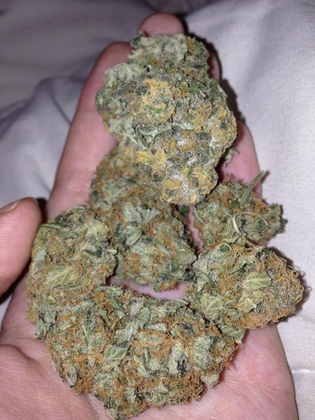 doobiedrewbie:  🔥🙊