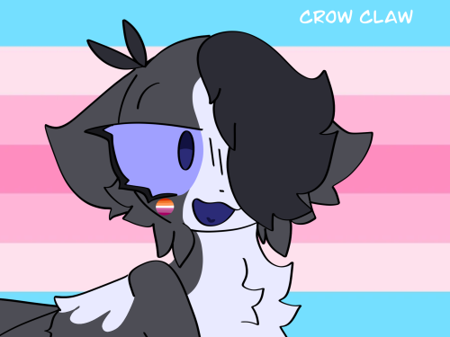 This Is Crow Claw, Clove Tails Sister. She Hasnt Appeared In The Comic Either But Her Designs Been Out