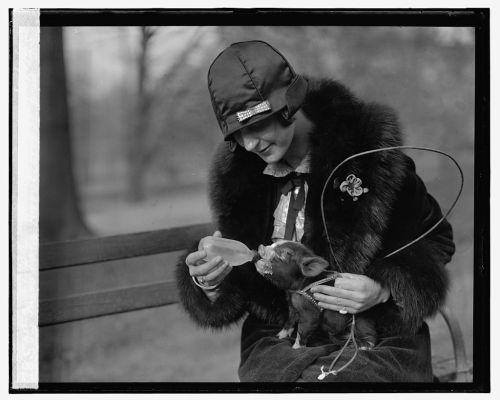 Miss Lois Hoover & pet pig. 1925