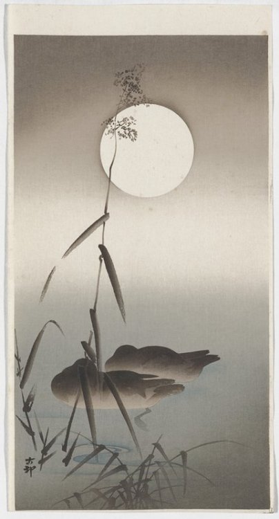 mia-japanese-korean:Two Mallards in Water Between Reeds and a Full Moon, Ohara Shōson, 1920s, Minnea