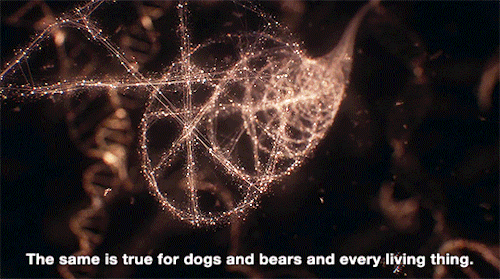 #Cosmos #NeildeGrasseTyson #Universe #DNA