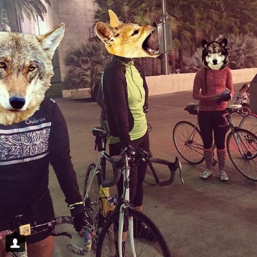 fixiegirls:  Repost from @shewolfattackteam Wolfs come out at night by @ponzupony #wolfwednesday #sh