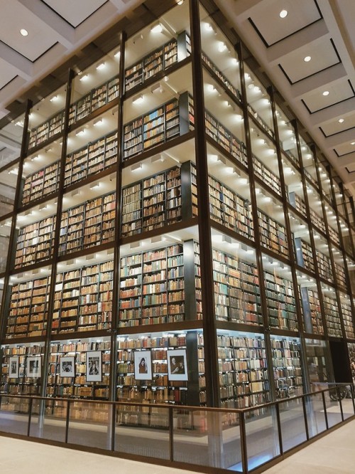 armafeminamque:The Beinecke Rare Book & Manuscript Library, Yale University. June 2019. Transluc