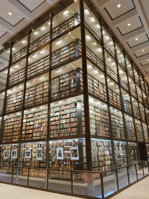 armafeminamque: The Beinecke Rare Book &amp; Manuscript Library, Yale University. June 2019.&nbs