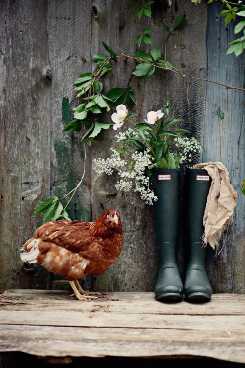 The little details of a FarmHouse Pinterest • The world’s catalog of ideas www.pi