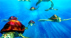 izzllightwood:  get to know me meme: 3/10 favorite movies: Finding Nemo (2003) &ldquo;Hey,