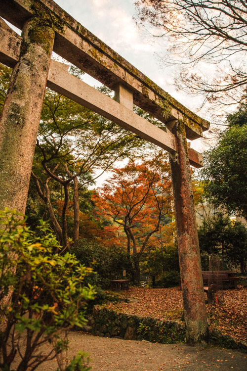 Friday 3rd November 2017. 16:30 Minoo Osaka.I couldn’t reach the waterfall today but one of the hiki