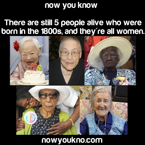 nowyoukno:  Source for more facts follow NowYouKno  
