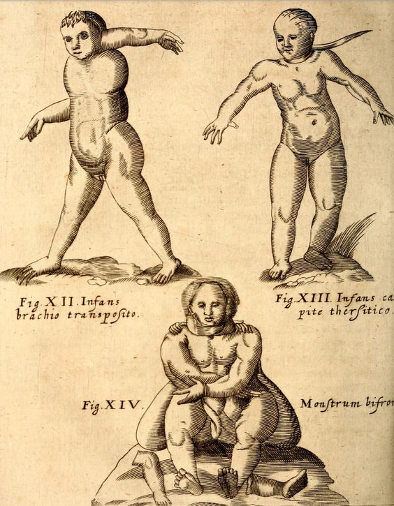 magictransistor: Gaspar Schott. Physica Curiosa, Mirabilia Naturæ et Artis. 1662.