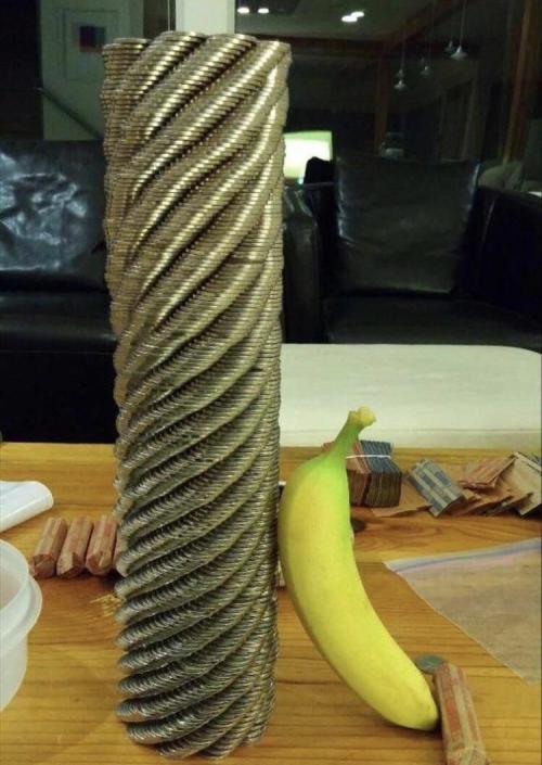 sixpenceee:$144 in nickels meticulously stacked. Banana for scale                           source
