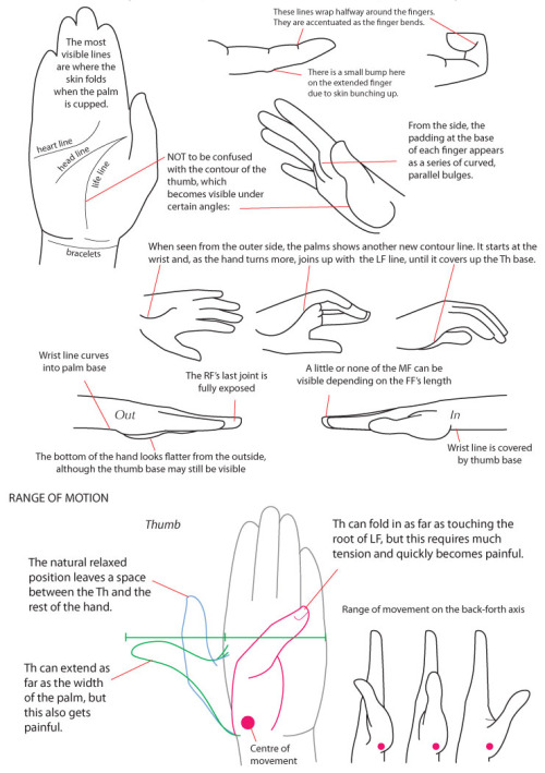 helpyoudraw:Drawing Hands by majnouna on DeviantArt