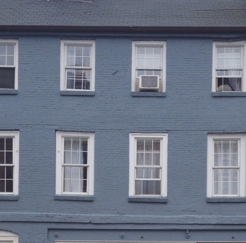 ukuleleaf:The side of a periwinkle apartment building in Portland near my cousins ((ft. white cat in