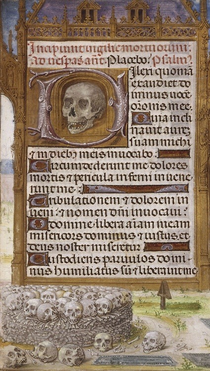 demonagerie: Cambridge, Harvard University, Houghton Library, MS Typ 0443, detail of f. 216. Book of