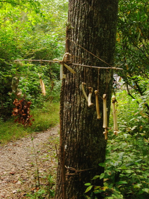 howlmountainfarm: New shrine for the fall with some assorted deer bones, kudzu fibers, and oakleaf h