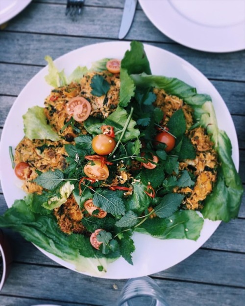 sshsihanaka: Those rice noodle satay cakes from the Yarra valley retreat earlier this year were so y