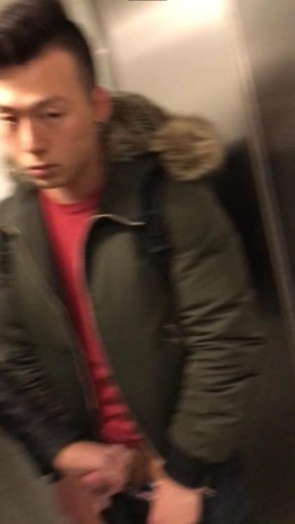 celebrasian:  celebrasian:  qqmal:  curiousflipboi:   gaysgboy:  torontonudist: 