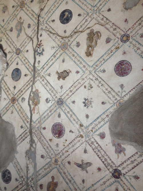 didoofcarthage:Details from a fresco in a triclinium of the Villa Arianna at Stabiae Roman, late 1st