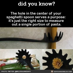 did-you-kno:  The hole in the center of your  spaghetti spoon serves a purpose:  it’s just the right size to measure  out a single portion of pasta.  Source 