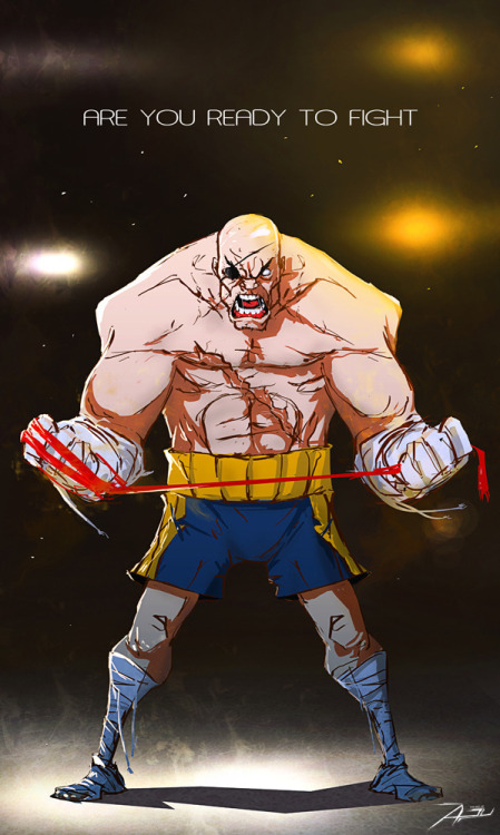 geeksngamers:  Street Fighter 4 Fan Art Series By Adnan Ali [Character Artist] from Karachi, Pakistan Follow Him On Facebook 