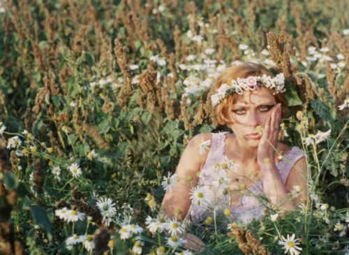 cinemastuff: Daisies (1966, dir. Věra Chytilová)