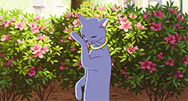 aprettyfire:Always believe in yourself. Do this, and no matter where you are, you will have nothing 