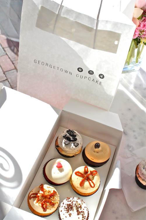 arthurnunnpics:Georgetown Cupcake - DC Cupcakes