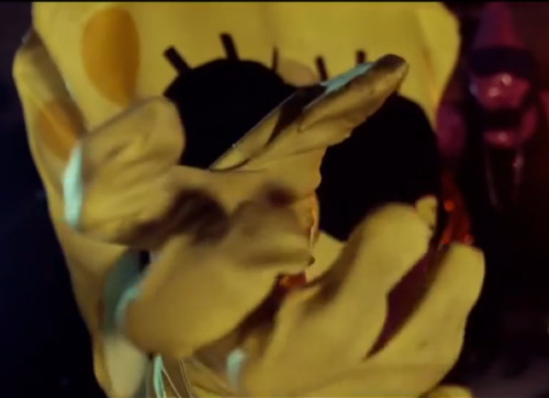 shrexy:SpongeBOZZ Gunshots ist der King of KingsEst ist der SchwammDon der Planktonweed tickt,[Das i