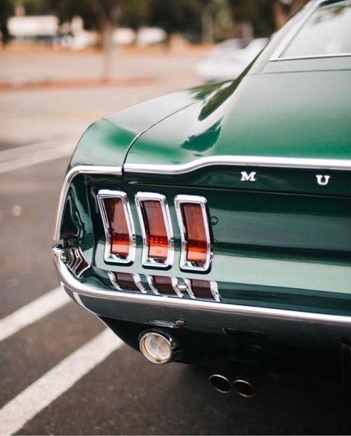 utwo:  Green Fastback© thomas lavin