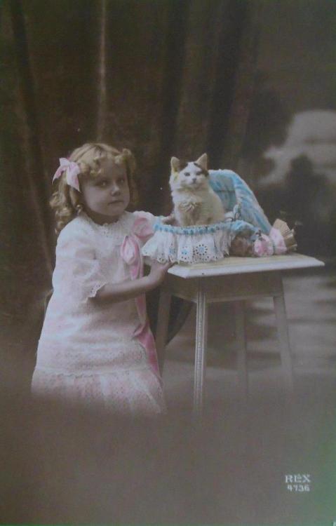 young girl with kitten in a doll bassinet