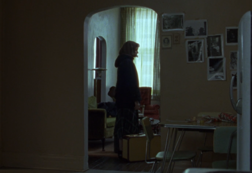 genimifeeds:  Carol (2015) dir. Todd Haynes