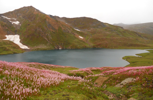 kpk-fata:  KHYBER PAKHTUNKHWA. The beautiful Dudipatsar lake (elevation: 12,500 ft) in Kaghan valley