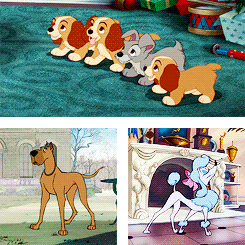 Happy National Dog Day! (August 26th 2015)