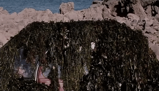 6b7c1d3cbdcf51755de10ab310d4ec4cff208ba1.gifv